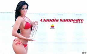 Claudia Sampedro в рекламе, claudia sampedro,модель,большая грудь,большие сиськи,эротика,красное белье,реклама,5 размер,брюнетки